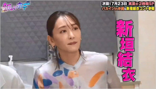 新しいカギ出演の新垣結衣(ガッキー)