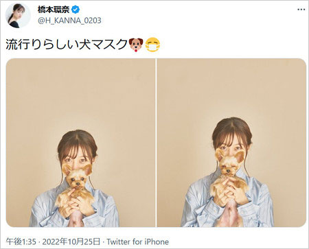 橋本環奈と愛犬ピノ