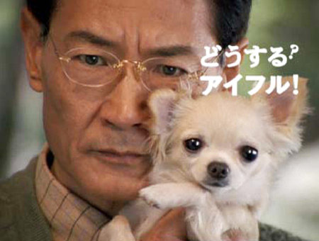 清水章吾とチワワくぅ～ちゃん（アイフルCM画像）