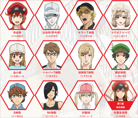 アニメ『はたらく細胞』メインキャラクター画像