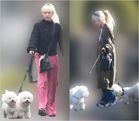 藍にいながYOASOBI・Ayaseの愛犬散歩画像