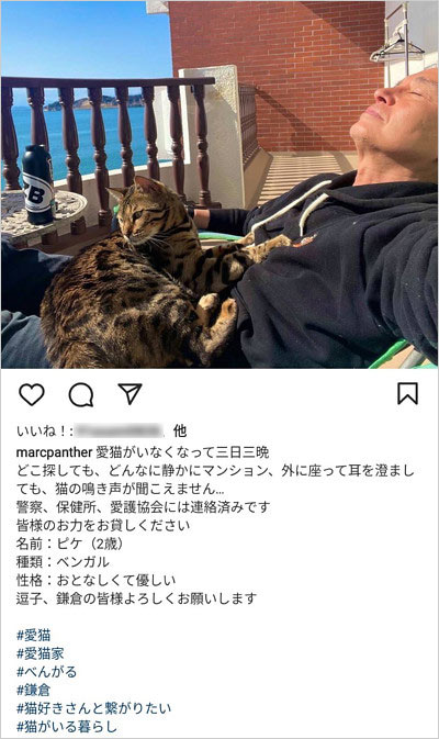 マーク・パンサーの愛猫が行方不明インスタグラム投稿画像