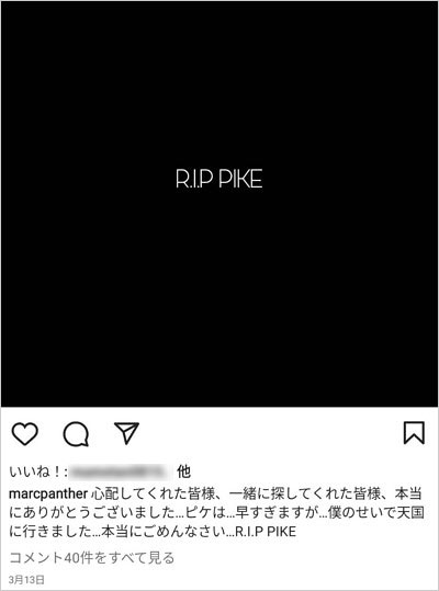 マーク・パンサーが猫の死を報告インスタグラム画像