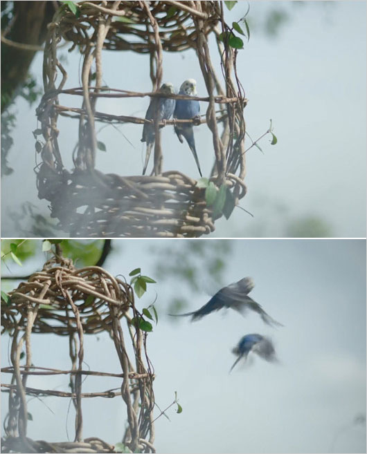 インコが飛び立つ淡麗グリーンラベル「GREEN JUKEBOX居篇」CM修正前の問題シーン画像