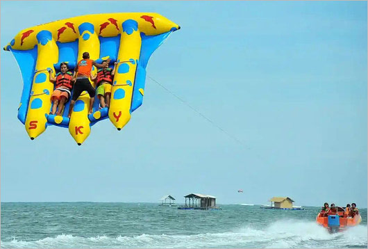 マリンスポーツ・フライフィッシュ