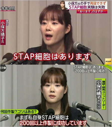 小保方晴子『STAP細胞はあります』画像