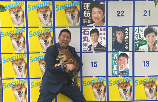 NHK党が犬ポスターで東京都知事選挙のポスター掲示板ジャック画像