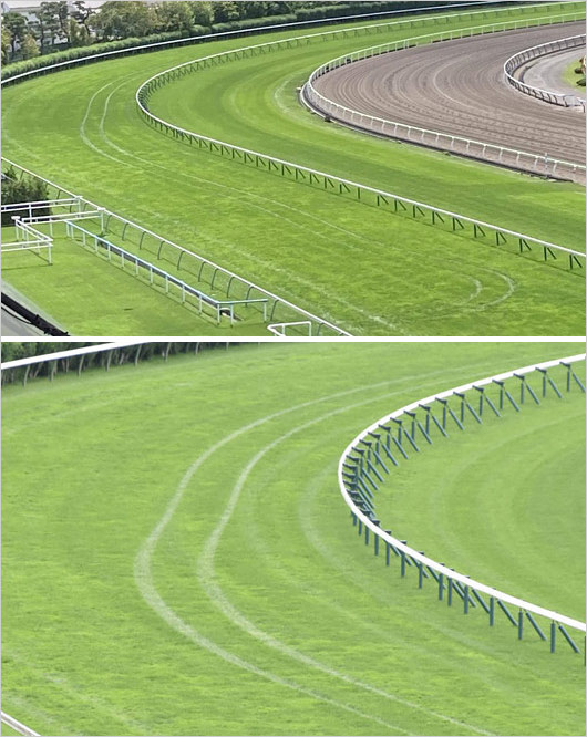 角田大河騎手が残したタイヤ痕(函館競馬場 芝コース馬場内)