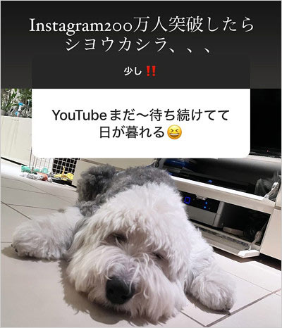 CocomiがYouTubeチャンネル開設に意欲のインスタストーリー画像