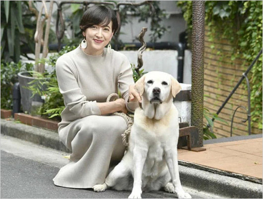滝川クリステルと保護犬の愛犬アリス