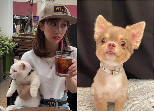 古谷未寿城（ラブトランジット2・ミヅキ）の愛犬ティナと愛猫まーちゃん(まさよし)の画像