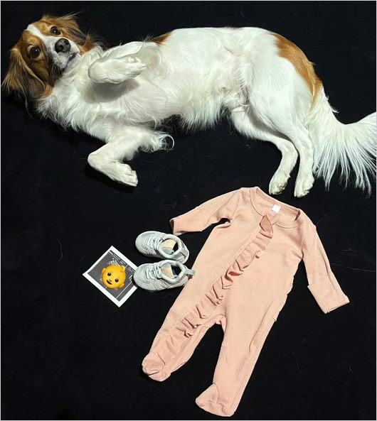 大谷翔平選手が真美子夫人の第1子妊娠報告