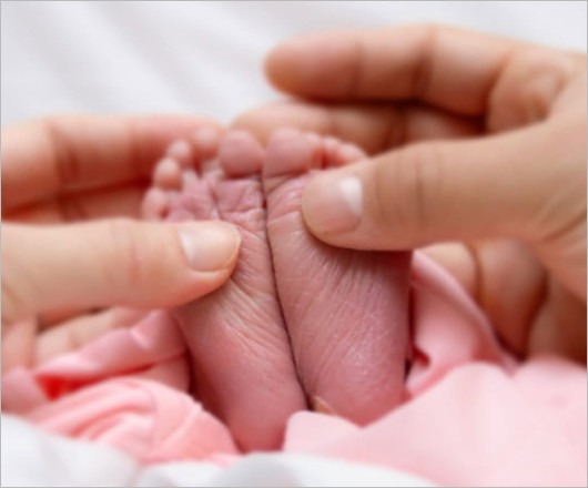 大谷翔平選手と真美子夫人の赤ちゃんの画像