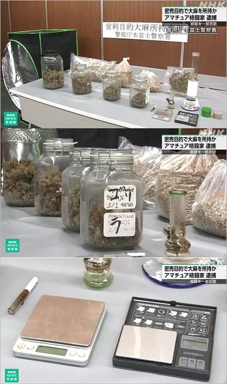 アマチュア格闘家が大麻栽培・所持、営利目的容疑で逮捕報道