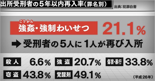 犯罪別の再犯率データ表