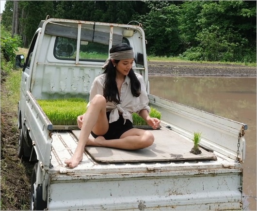 ローラが軽トラック荷台に乗る姿