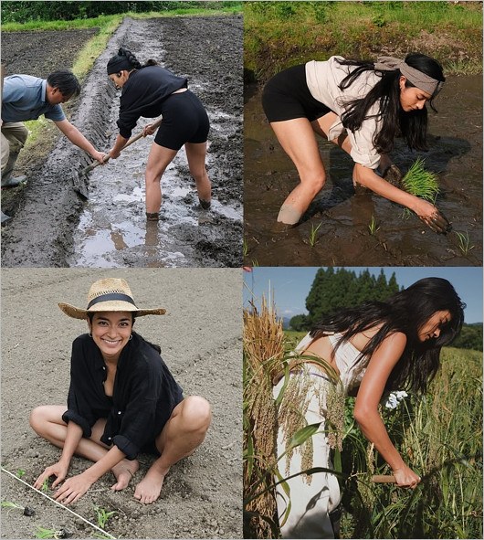 新潟で農業をするローラ