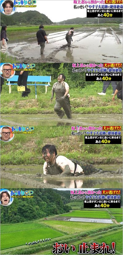 やす子・ドッキリGPキャプチャー画像 田んぼに侵入シーン