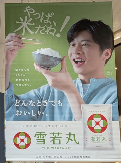 田中圭『雪若丸』ポスター画像