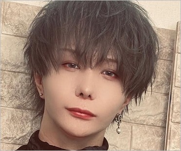 歌い手luz(ルス)