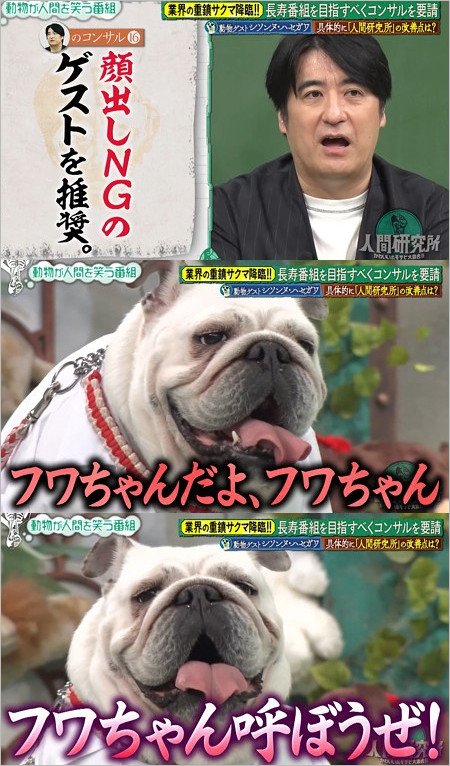 『人間研究所』伊集院光がフワちゃんの名前出したシーン