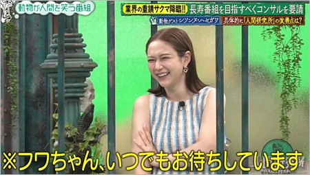 人間研究所・フワちゃん出演呼び掛けテロップ