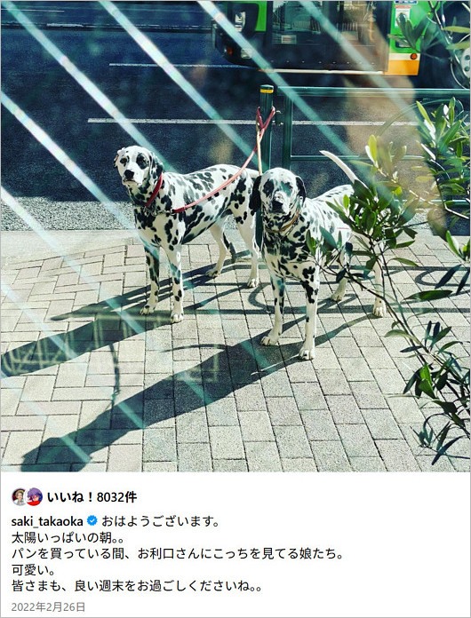 高岡早紀がガードレールに愛犬を繋いでいる画像