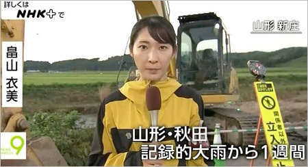 ニュースウオッチ9時代の畠山衣美アナウンサー