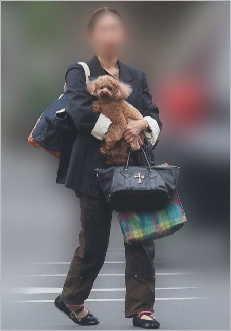 杉本哲太と交際の彼女（MEGUMI似）