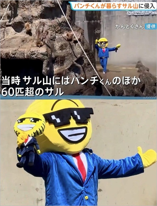 市川市動植物園・サル山侵入の犯人