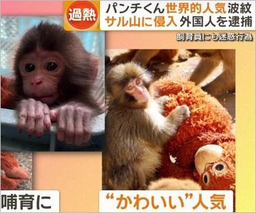 パンチくん襲撃事件報道