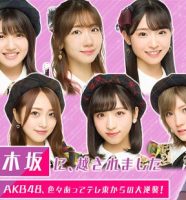 AKB48冠番組『乃木坂に、越されました～AKB48、色々あってテレ東からの大逆襲!～』