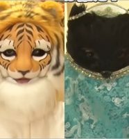 ゴチ27新メンバーA・Bの顔