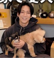 亀梨和也の愛犬チビクロ＆ジェリー（トイプードル・チワワ）