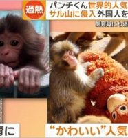 パンチくん襲撃事件報道