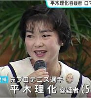 平木理化
